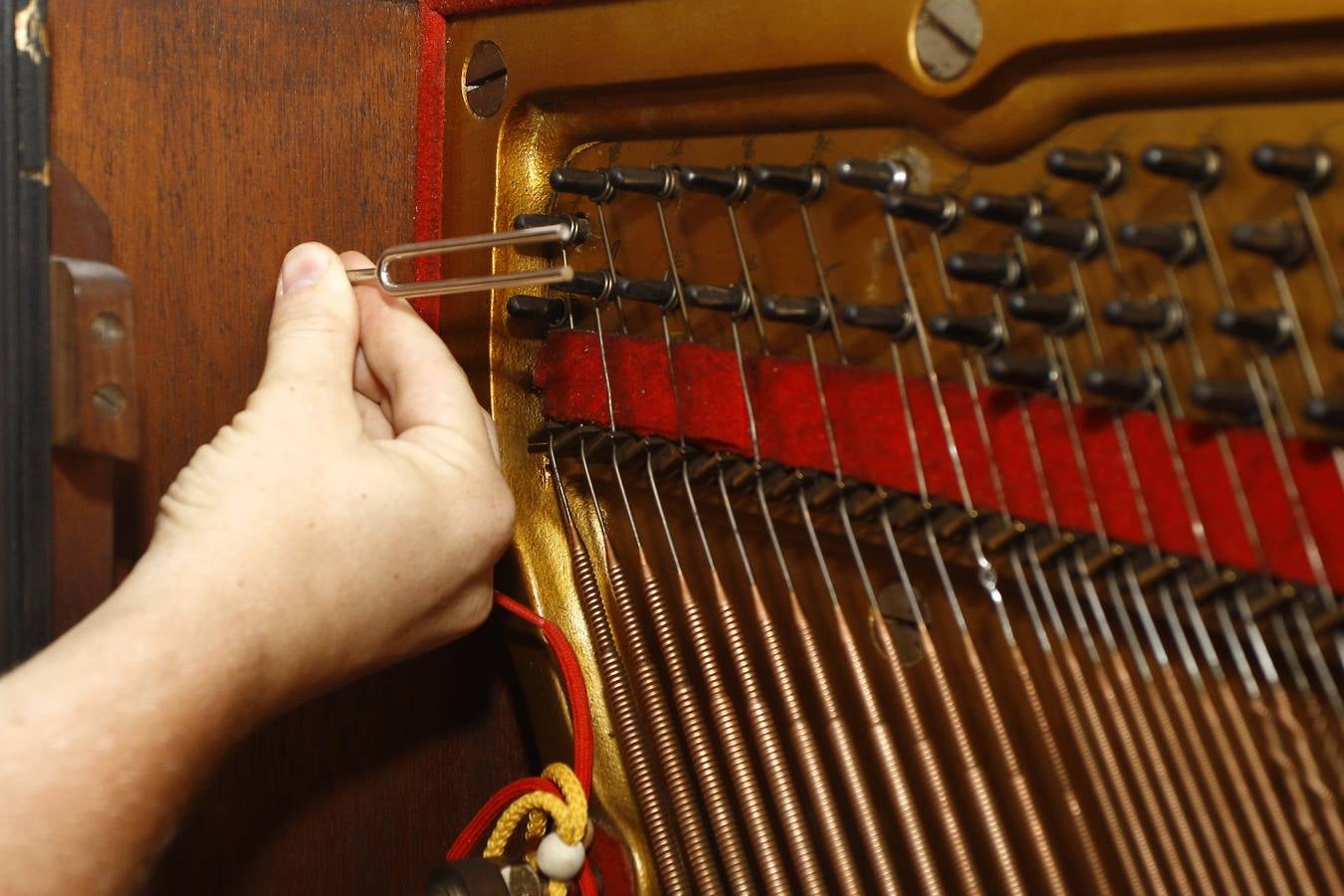 Fotos: Daniel Chiprian, afinador de pianos