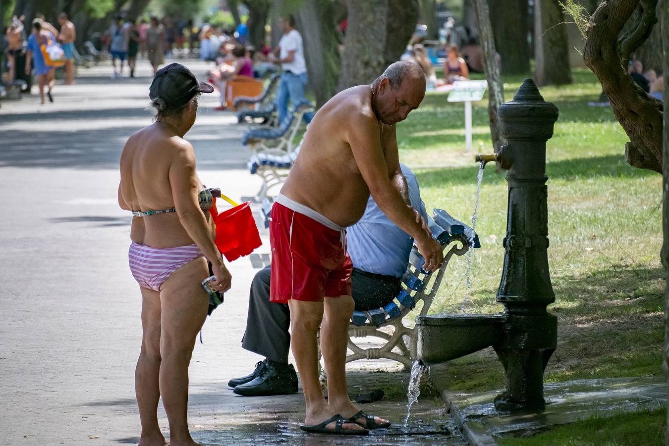 La comunidad ha alcanzado hoy altas temperaturas. Cualquier sombra o soplo de aire se agradece. 