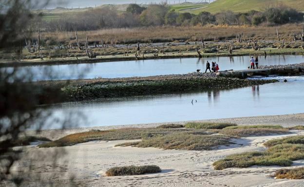 Costas saca a información pública la senda peatonal de la ría de Oyambre