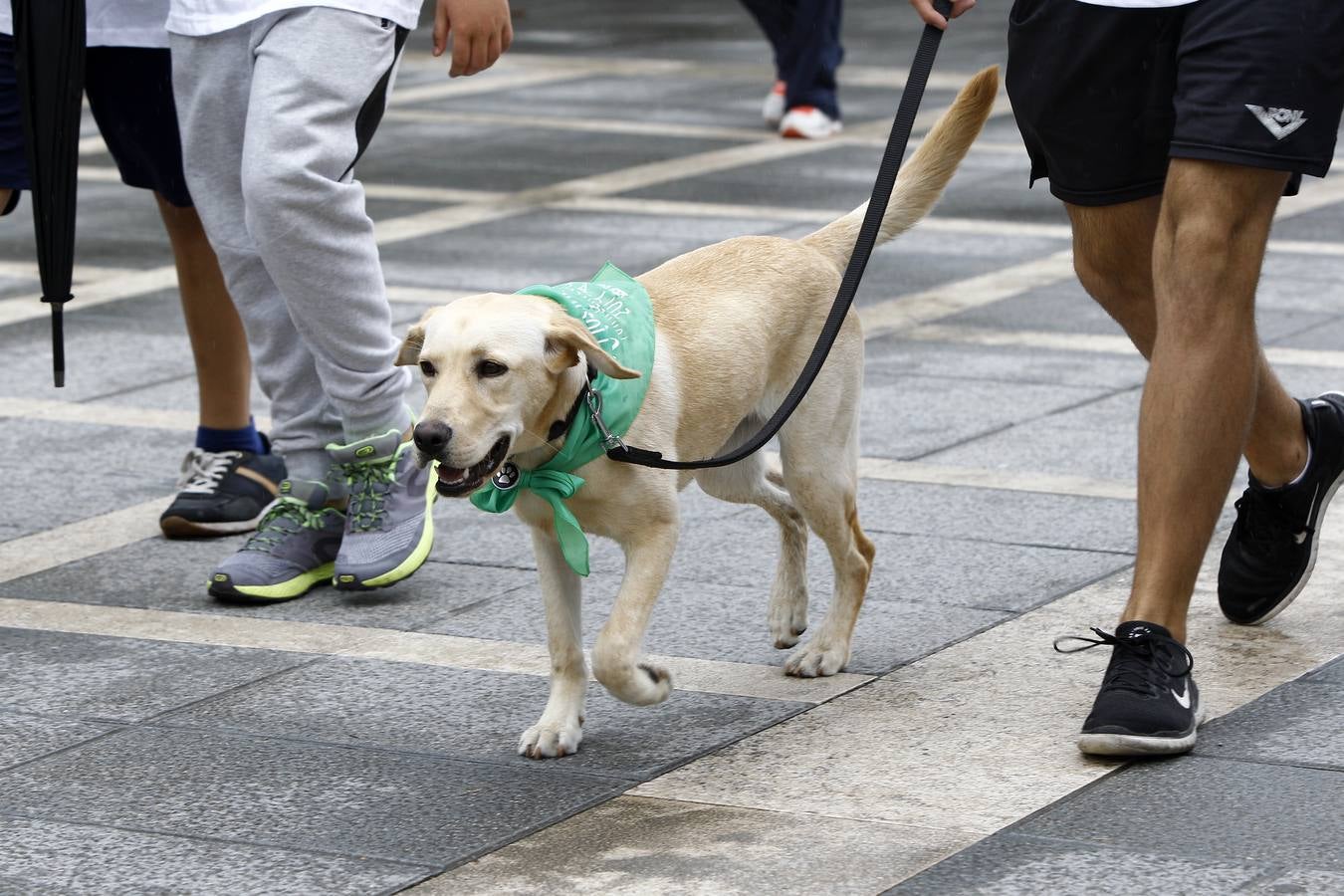 Fotos: Marcha Popular Ronda de Torrelavega