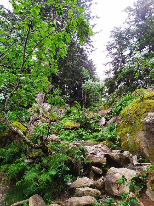 Fotos: De ruta por el Lago de Gaube, en los Pirineos