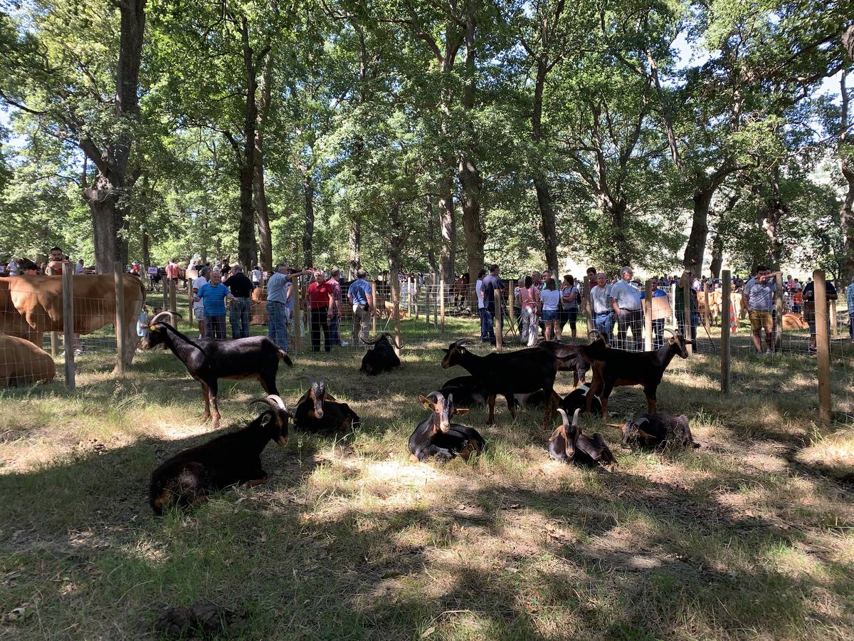 Fotos: Todos a La Gándara por el Día de Soba