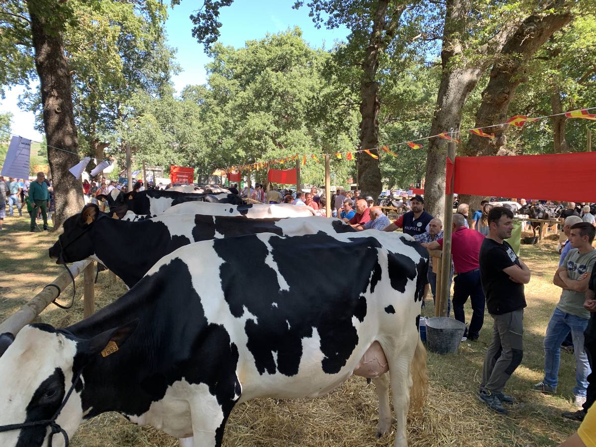 Fotos: Todos a La Gándara por el Día de Soba