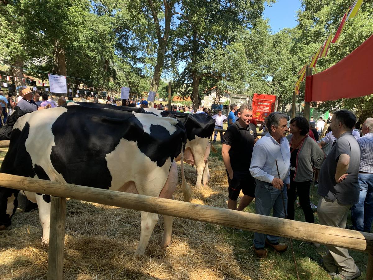 Fotos: Todos a La Gándara por el Día de Soba