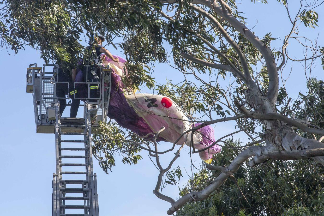 Fotos: Rescatado un parapentista que quedó enganchado en un árbol junto a la playa de Mataleñas