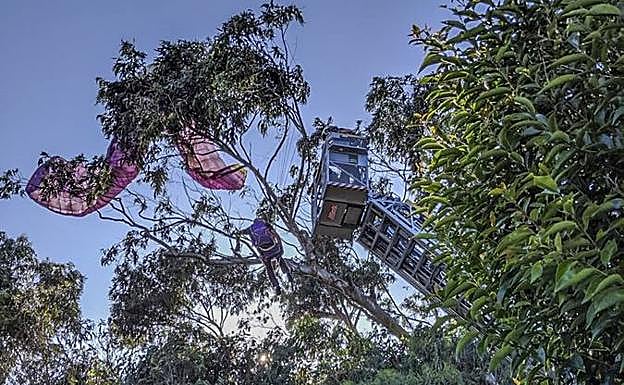 Imagen principal - El parapentista, colgado del árbol.