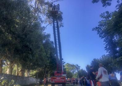 Imagen secundaria 1 - El parapentista, colgado del árbol.