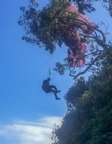 Imagen secundaria 2 - El parapentista, colgado del árbol.