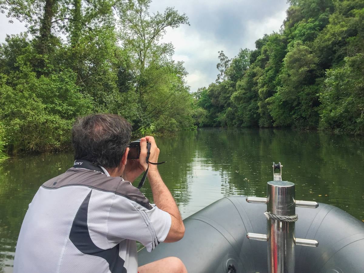 Imágenes de las visitas guiadas para la observación de aves en la bahía y de las águilas pescadoras, el principal reclamo del programa de turismo sostenible que abandera Marina de Cudeyo