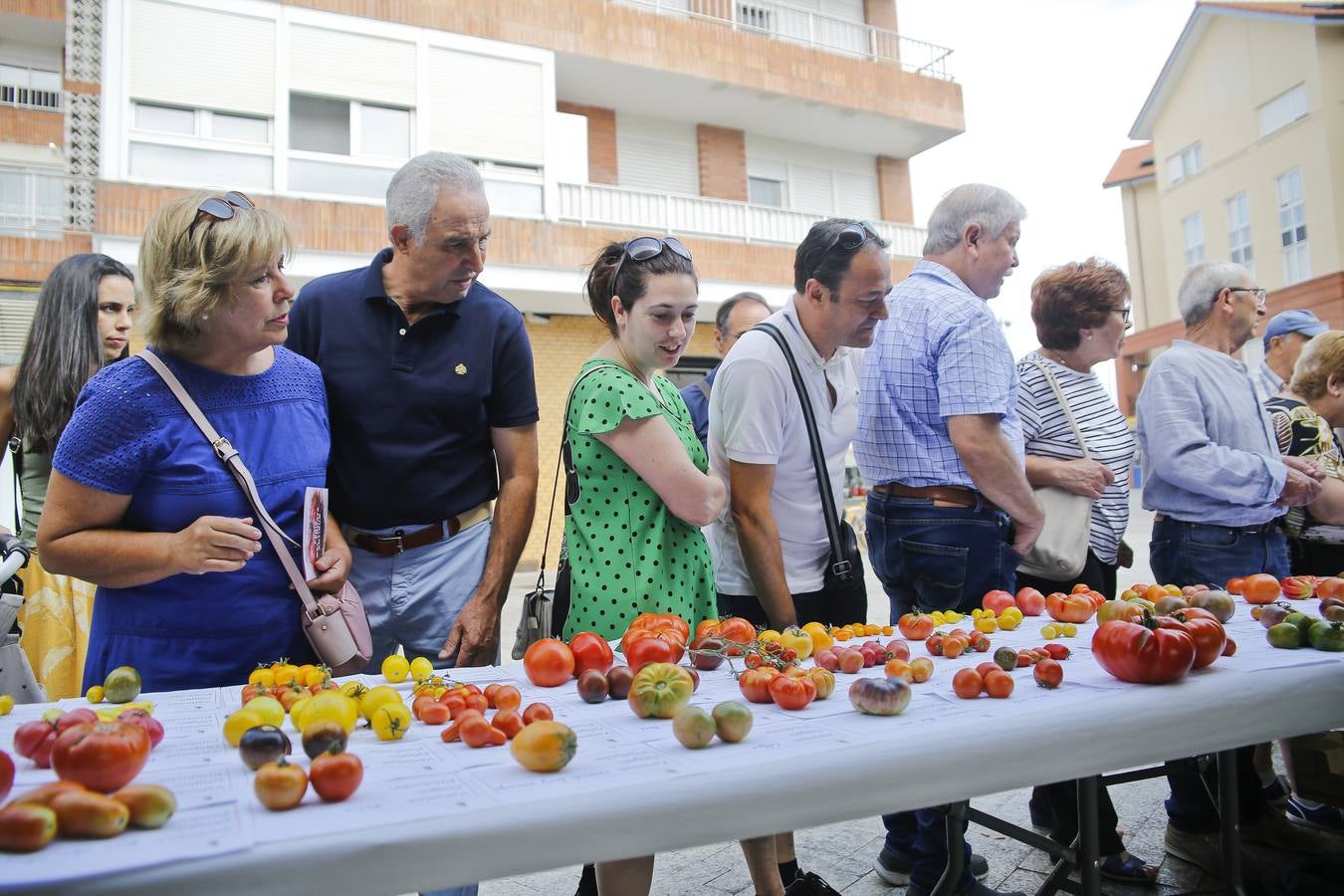 Fotos: Una vuelta por la Feria del Tomate de Bezana