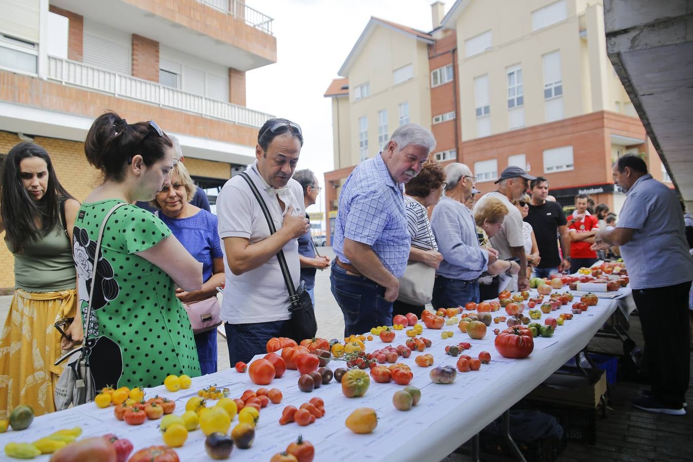 Fotos: Una vuelta por la Feria del Tomate de Bezana