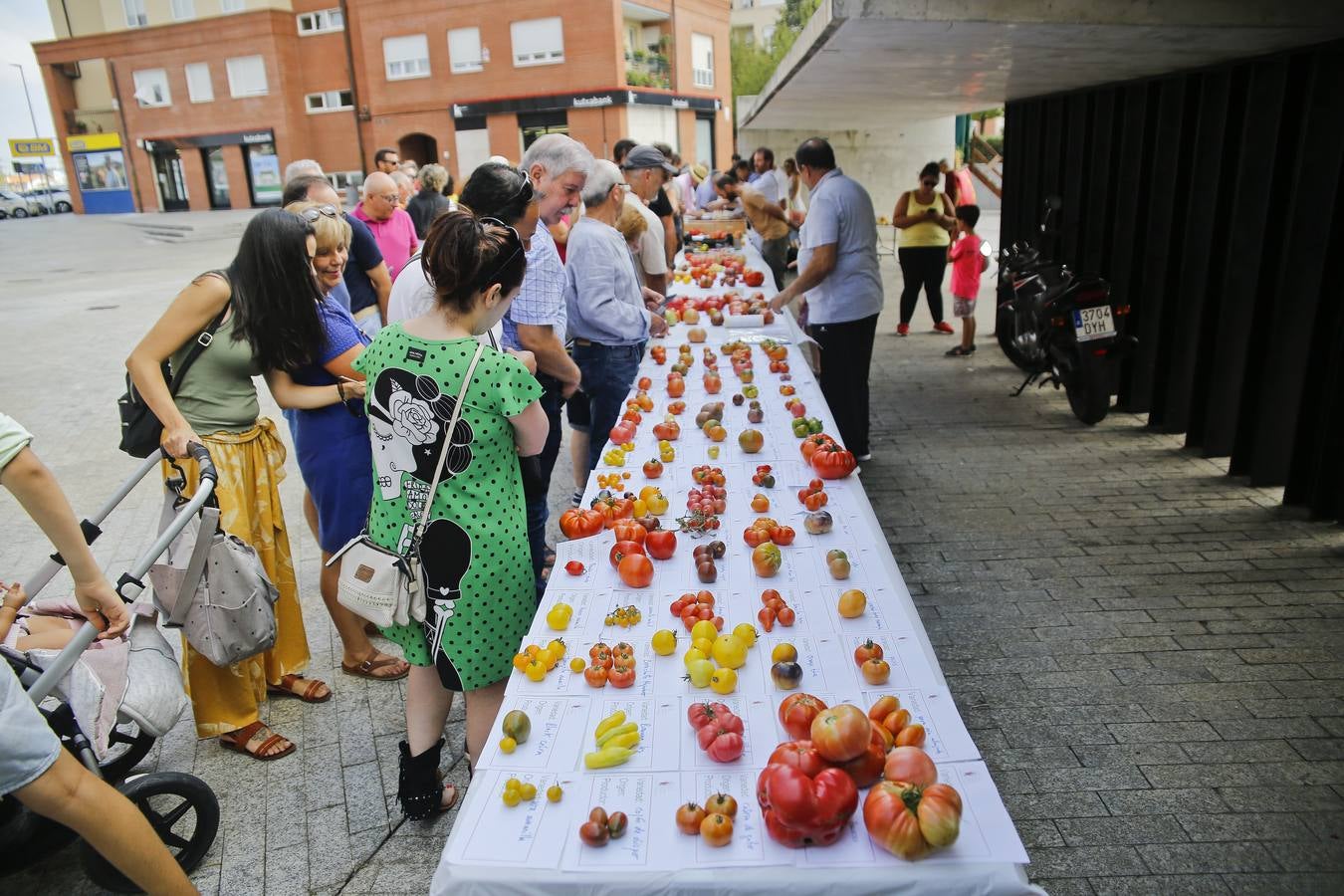 Fotos: Una vuelta por la Feria del Tomate de Bezana