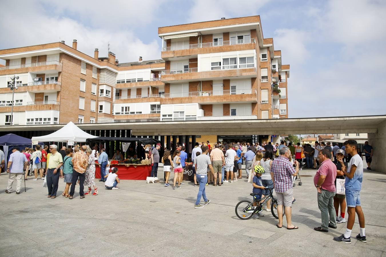 Fotos: Una vuelta por la Feria del Tomate de Bezana