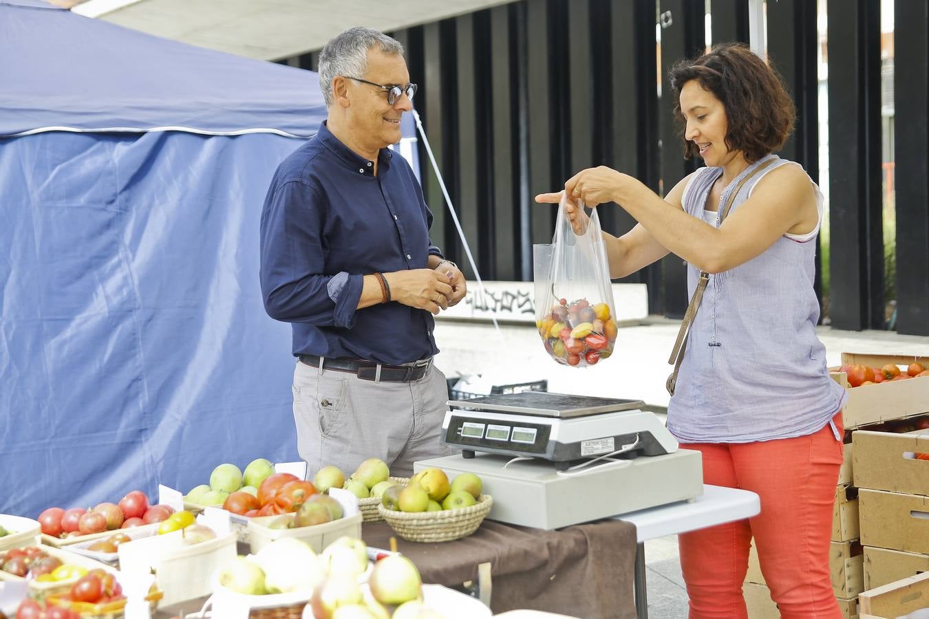 Fotos: Una vuelta por la Feria del Tomate de Bezana