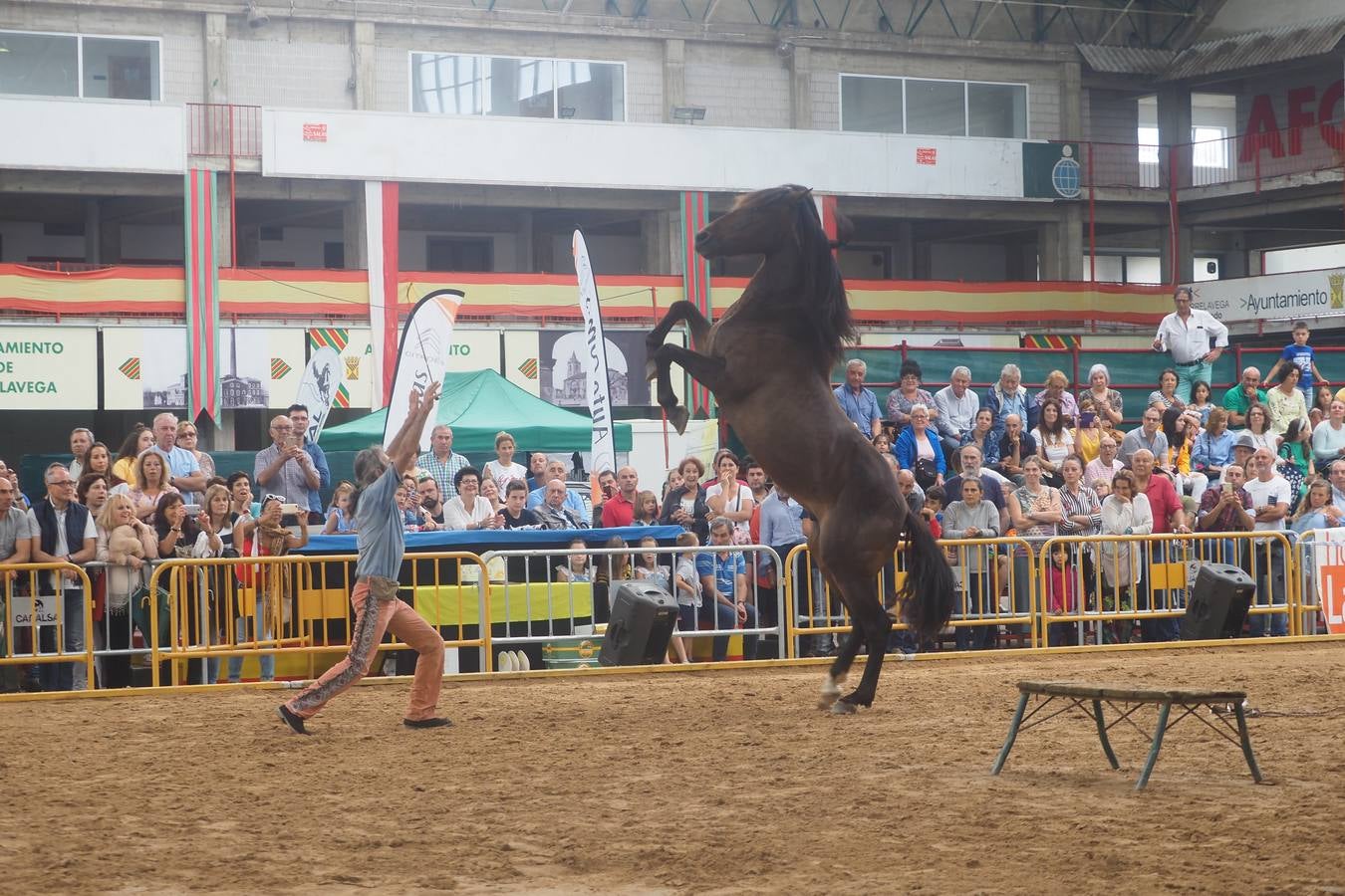 El público abarrotó las gradas para presenciar el concurso de pura raza española