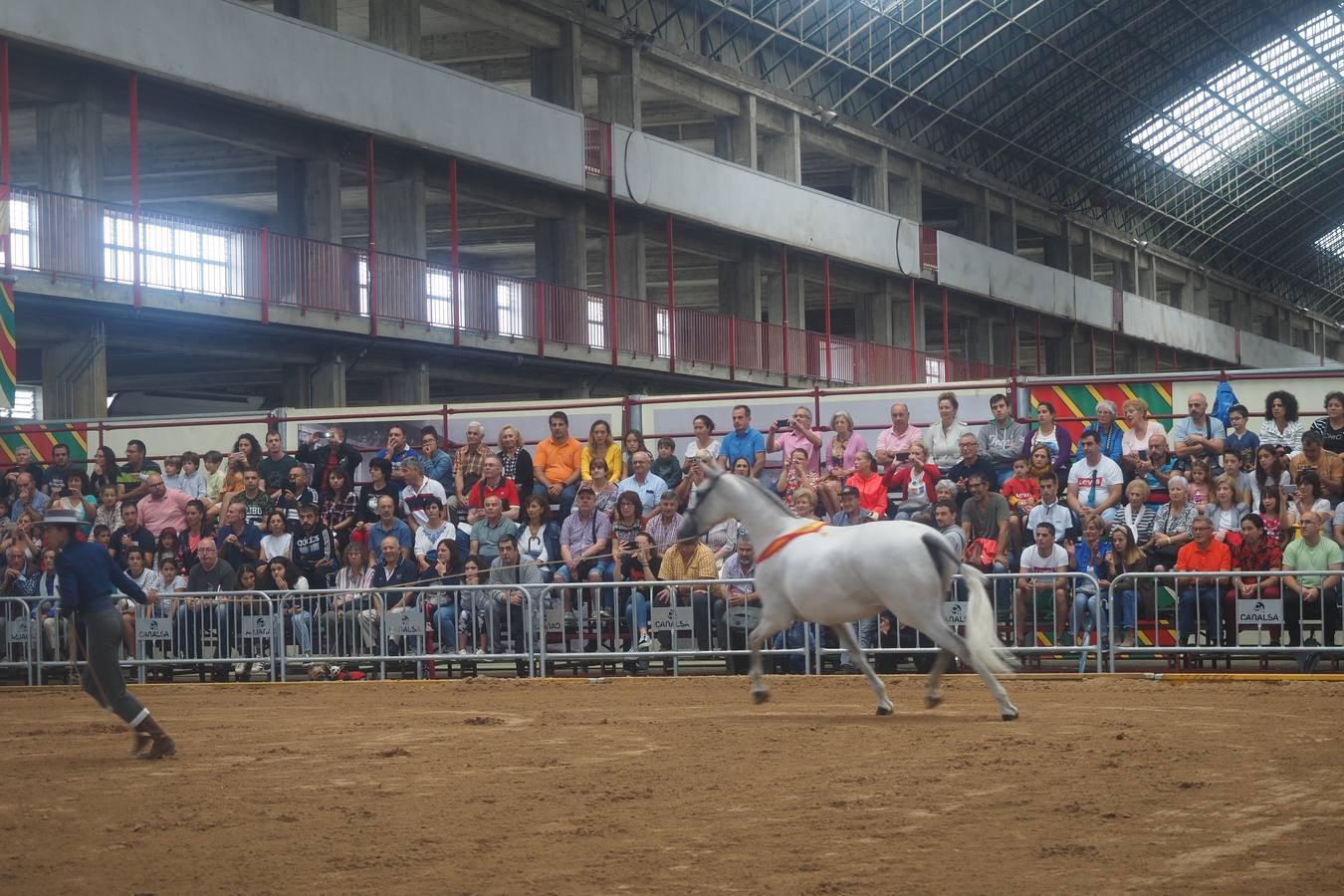 El público abarrotó las gradas para presenciar el concurso de pura raza española