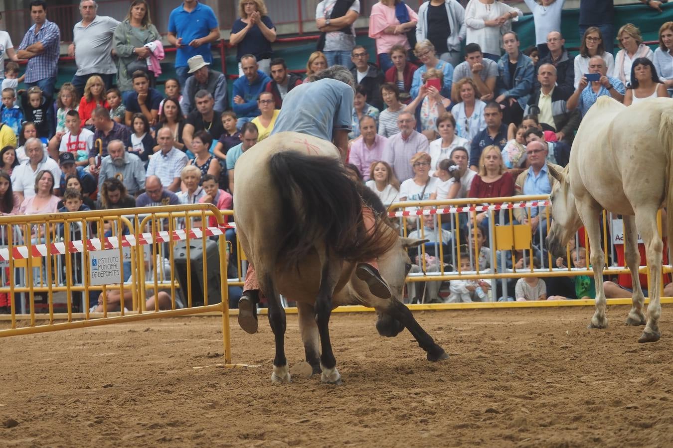 El público abarrotó las gradas para presenciar el concurso de pura raza española