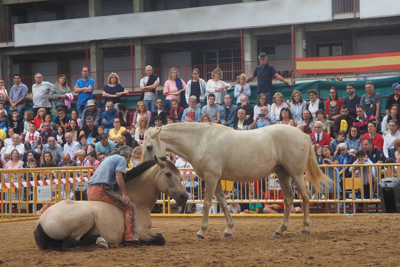 El público abarrotó las gradas para presenciar el concurso de pura raza española