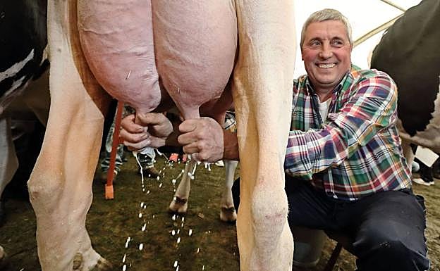 Cantabria, con un 9% del total, tercera región en aportar ganaderos de leche