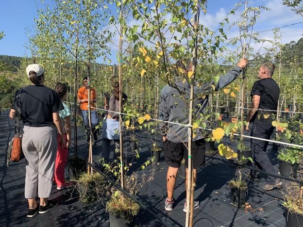 Varios voluntarios recogen semillas de los árboles ubicados en el Centro Etnobotánico de El Pendo. 