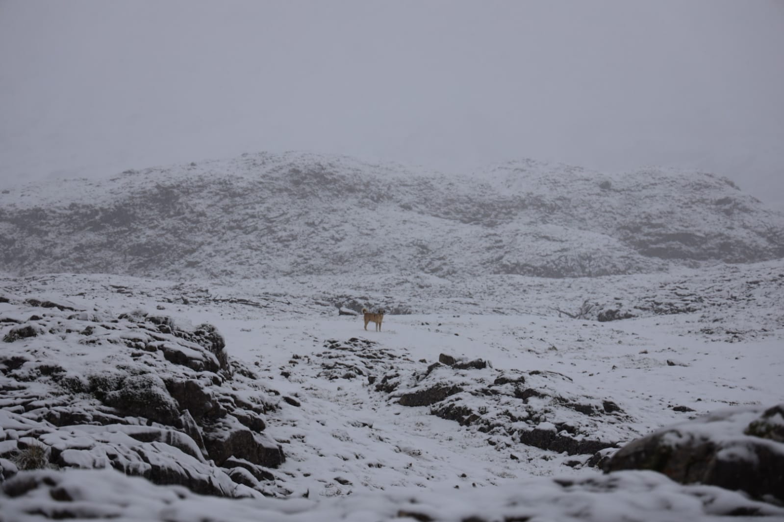 Fotos: El otoño irrumpe en Cantabria con precipitaciones tormentosas, fuertes vientos y nieve en los Picos