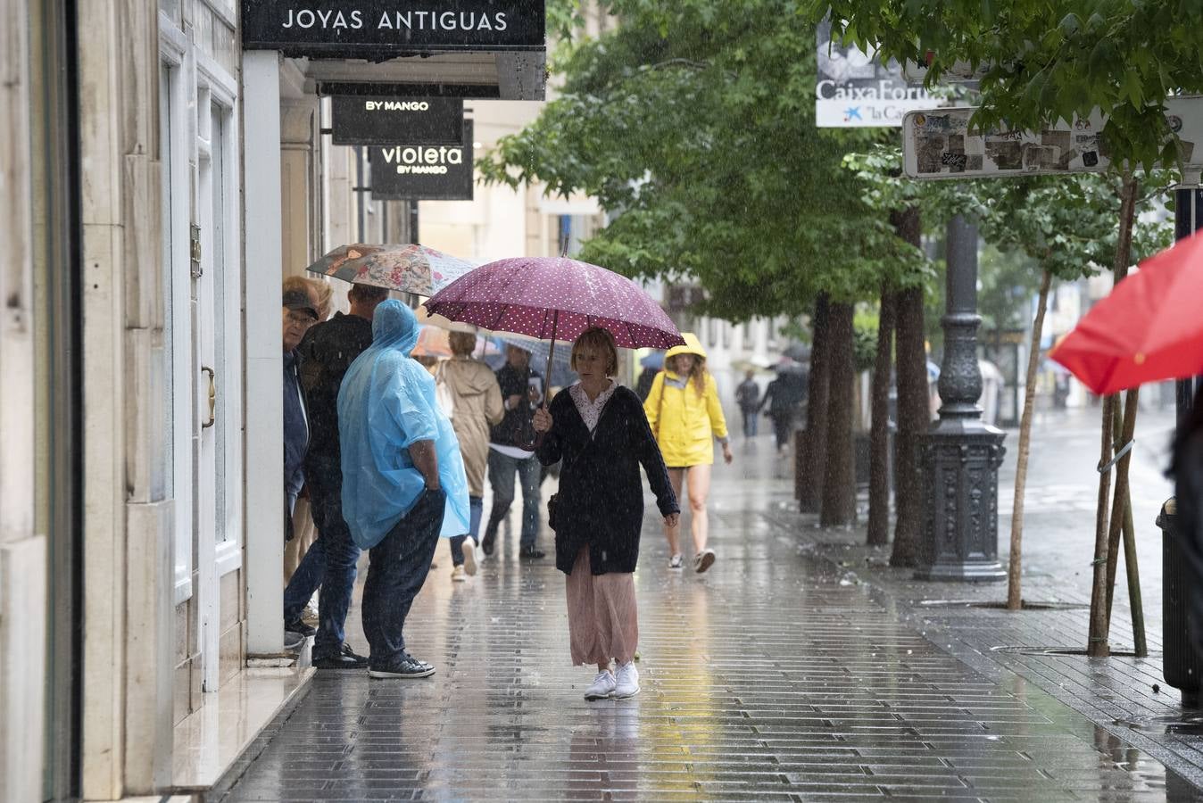 La gota fría que recorre el norte de la península ha dejado hasta este mediodía una precipitación acumulada de hasta 53 litros por metro cuadrado en puntos de Cantabria como Fuente Dé, la máxima de la comunidad. Llueve con gran intensidad en toda la región. En las imágenes, las calles del centro de Santander, complicadas de recorrer caminando este martes debido a la lluvia y el viento