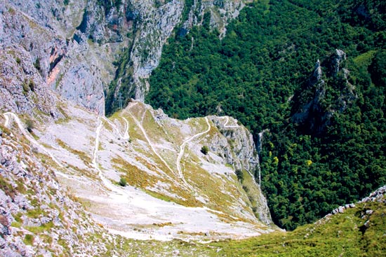 Imagen secundaria 1 - Naturaleza | Tresviso | Cantabria 102 Municipios