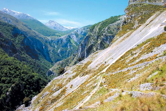 Imagen secundaria 2 - Naturaleza | Tresviso | Cantabria 102 Municipios