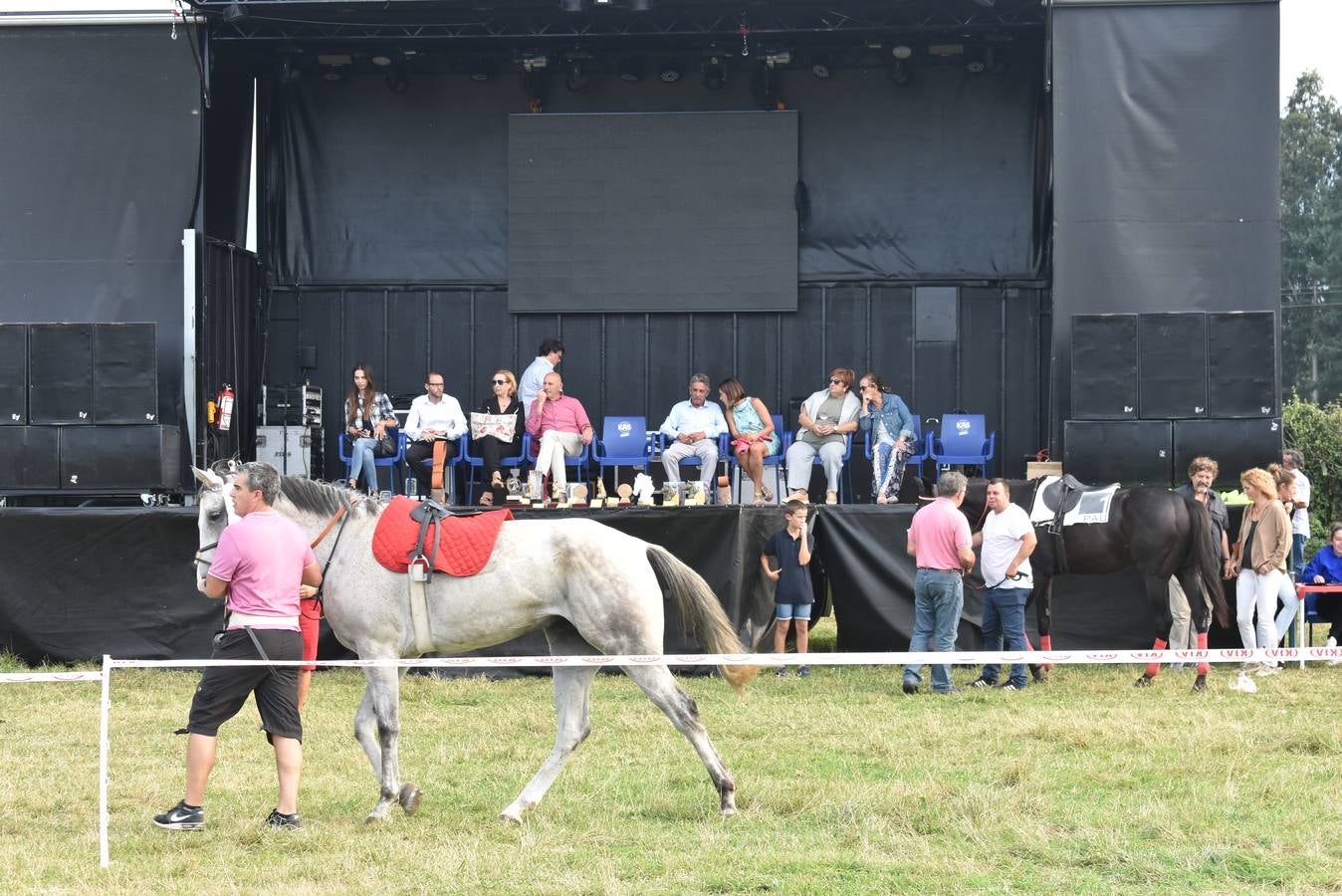 Fotos: Carreras de caballos y burros en Molledo