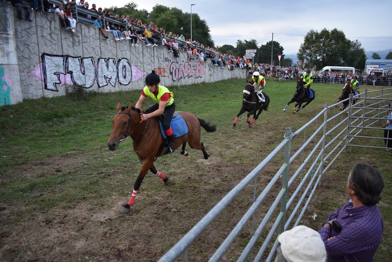 Fotos: Carreras de caballos y burros en Molledo