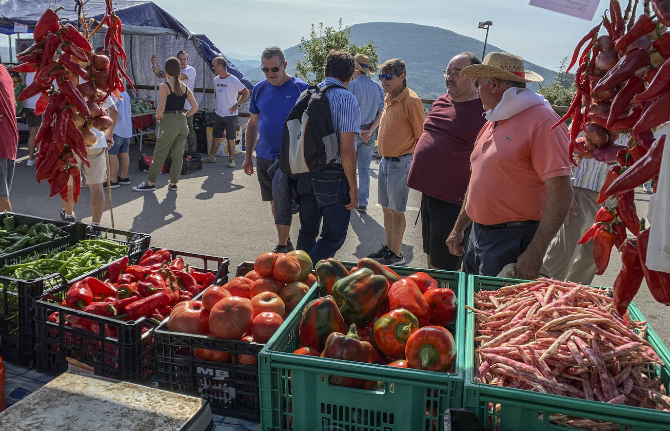 Fotos: El mejor pimiento de Cantabria está en Isla