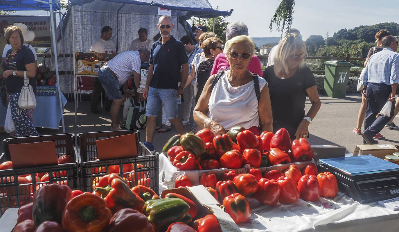 Fotos: El mejor pimiento de Cantabria está en Isla