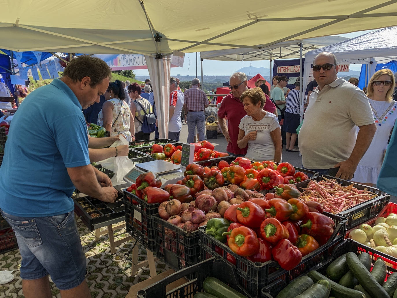 Fotos: El mejor pimiento de Cantabria está en Isla