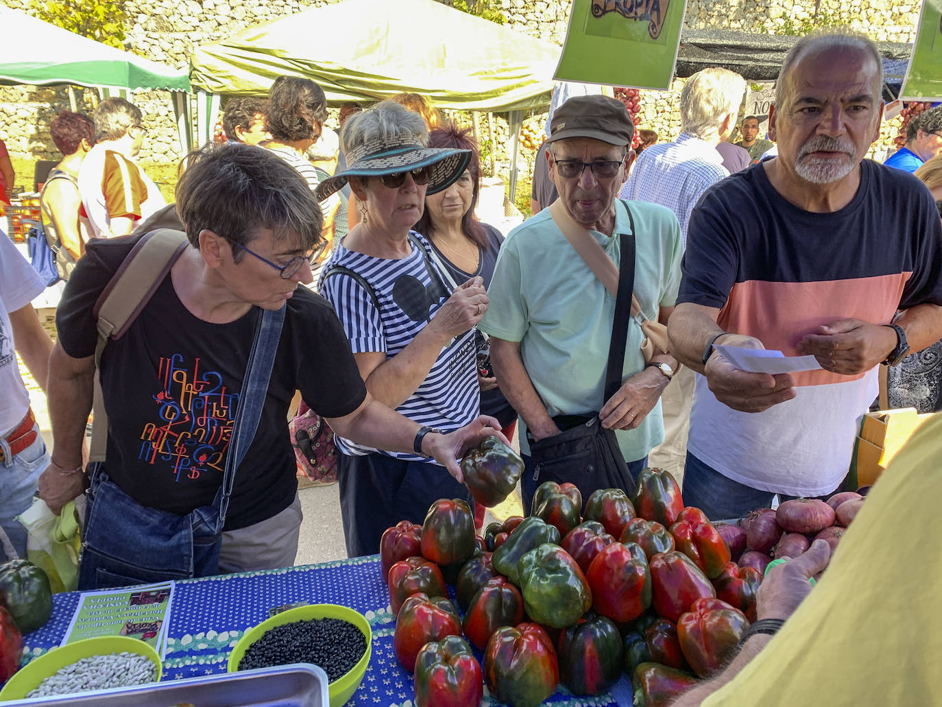 Fotos: El mejor pimiento de Cantabria está en Isla