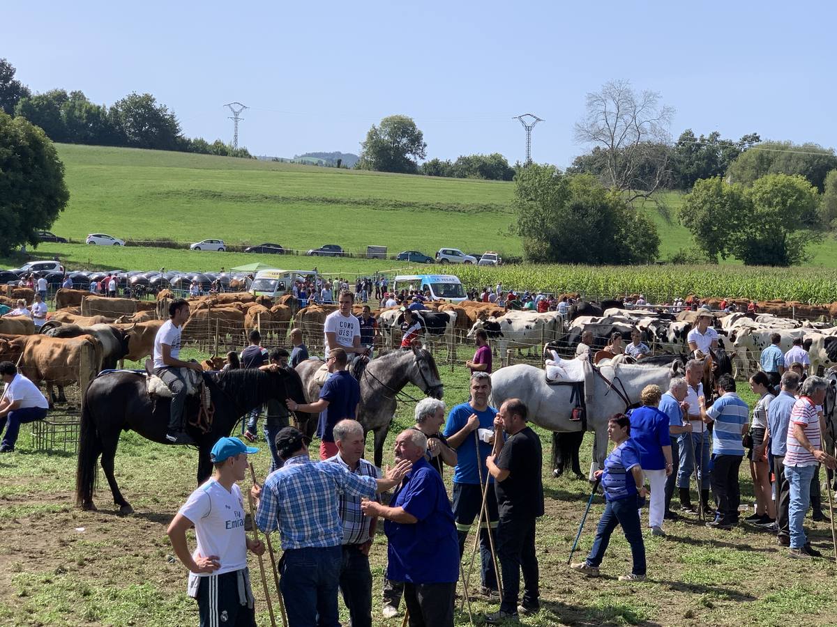 Fotos: Feria ganadera de Liérganes