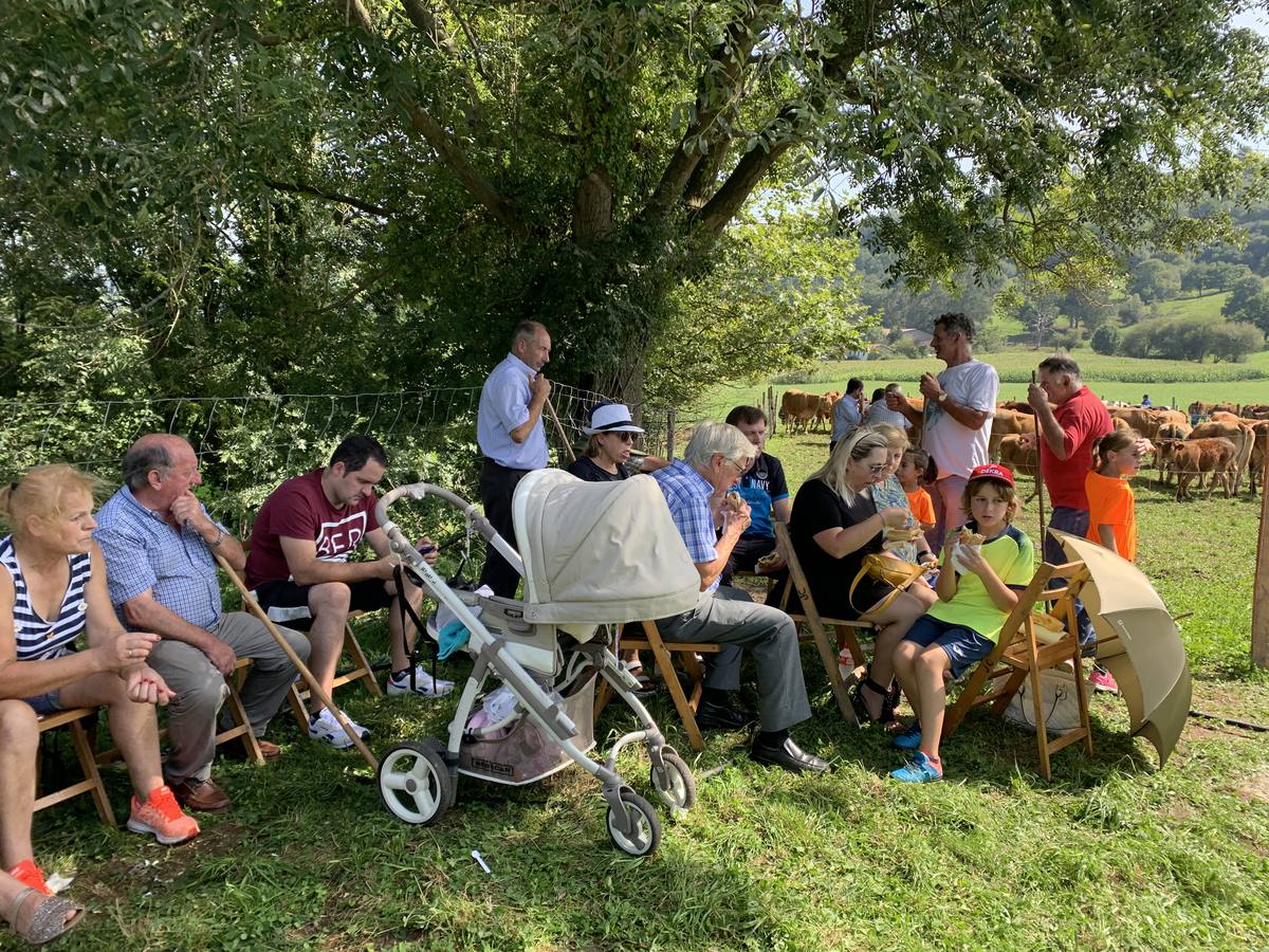 Fotos: Feria ganadera de Liérganes