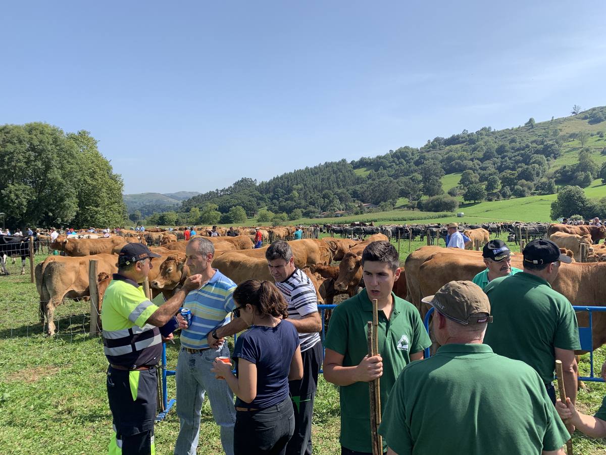 Fotos: Feria ganadera de Liérganes