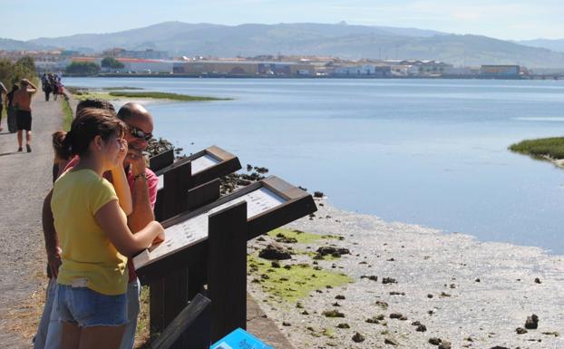 Santoña celebra del viernes al domingo el Festival de Migración de las Aves