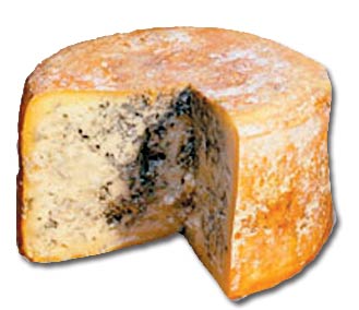 Queso de Tresviso