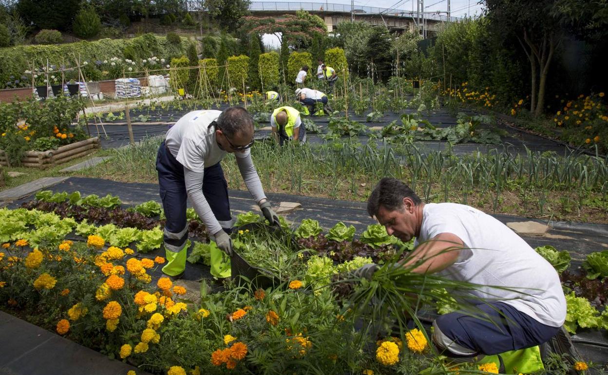 Camargo mantiene abiertas las inscripciones para un curso sobre 'Horticultura y Floricultura' dirigido a personas desempleadas