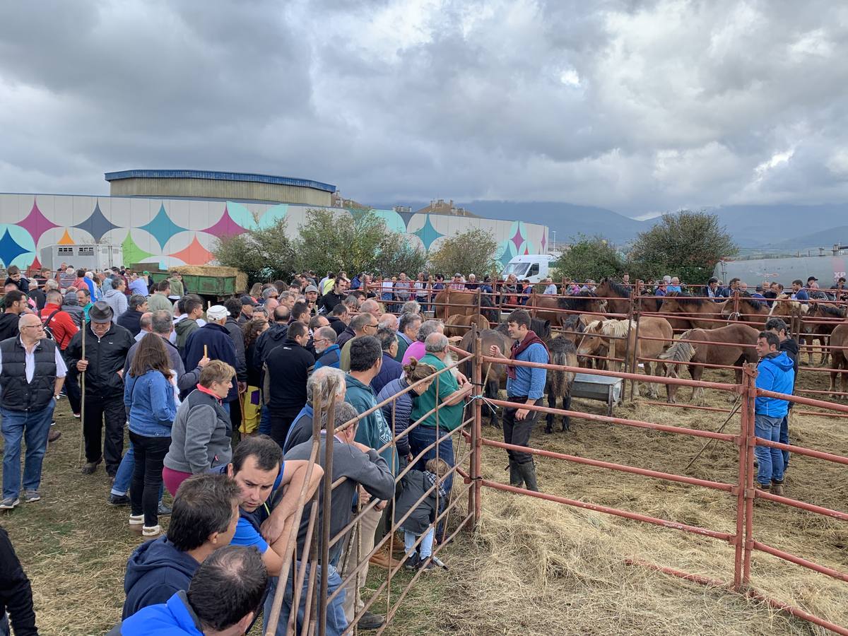 Fotos: Cientos de personas se dan cita en la Feria de San mateo en Reinosa