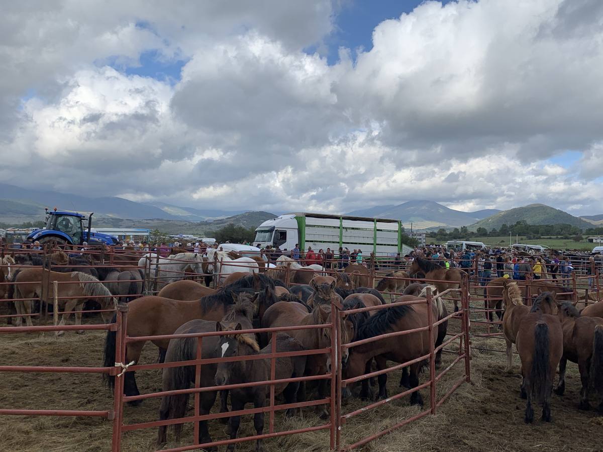 Fotos: Cientos de personas se dan cita en la Feria de San mateo en Reinosa