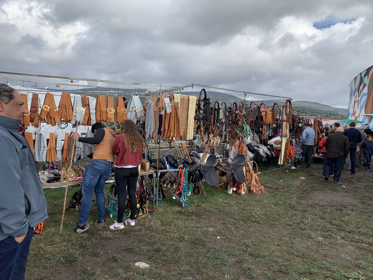 Fotos: Cientos de personas se dan cita en la Feria de San mateo en Reinosa