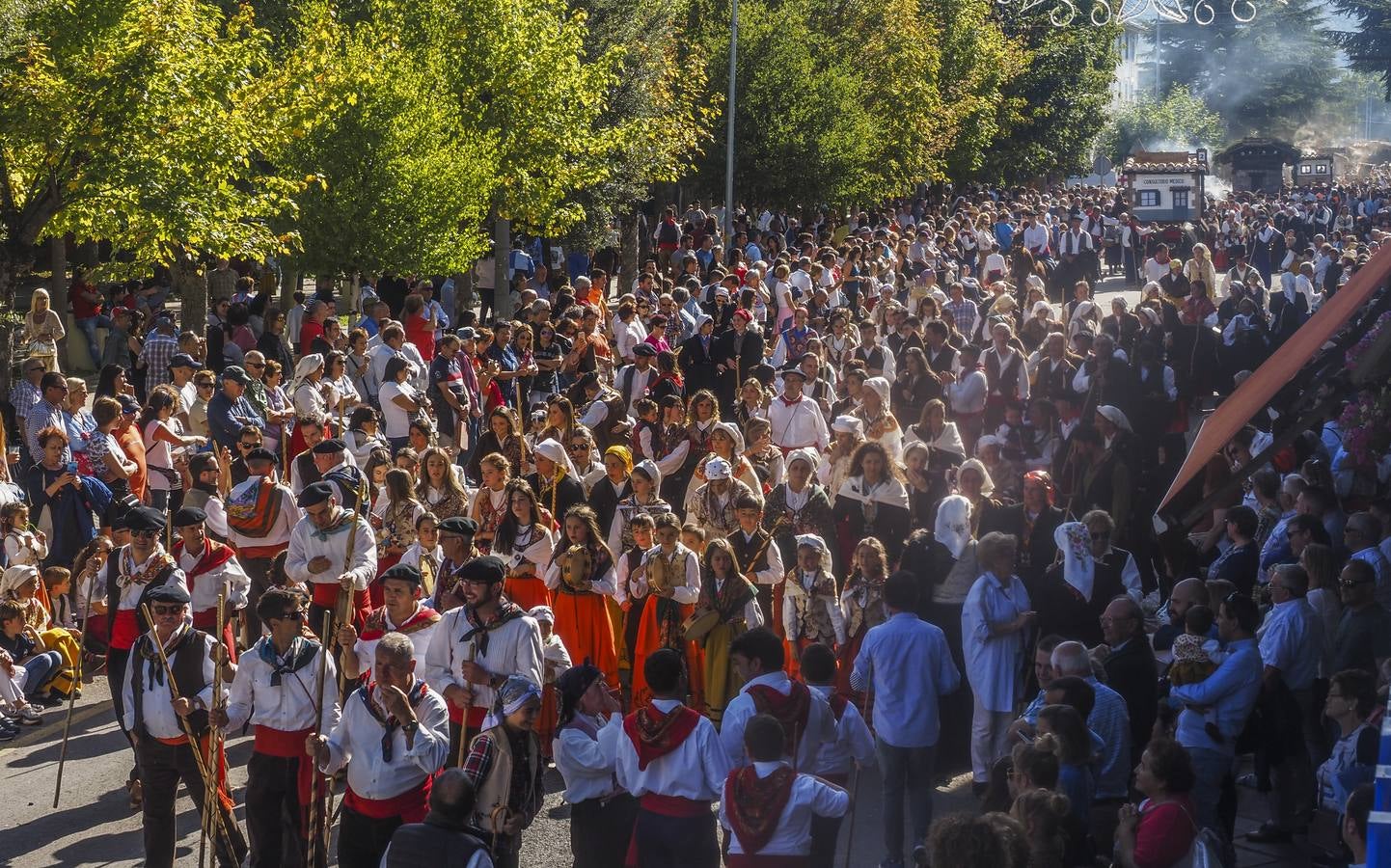 Fotos: Quince carretas y diez agrupaciones folclóricas participarán hoy en el Día de Campoo