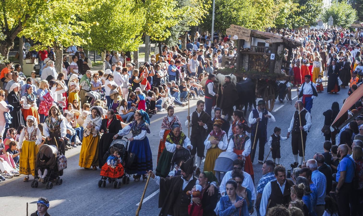 Fotos: Quince carretas y diez agrupaciones folclóricas participarán hoy en el Día de Campoo