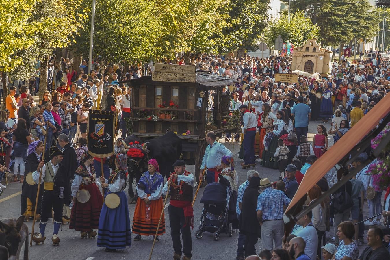 Fotos: Quince carretas y diez agrupaciones folclóricas participarán hoy en el Día de Campoo