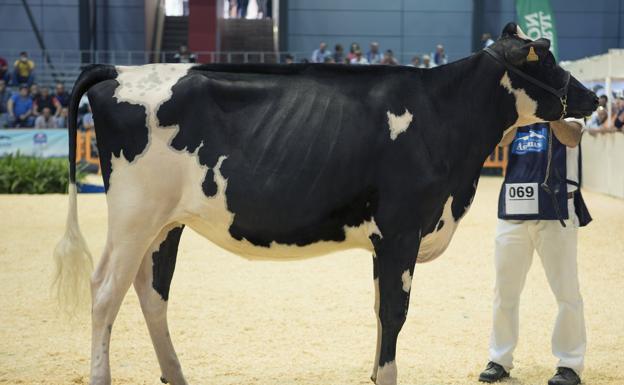 La campeona nacional de novillas, 'Gloria Bradi Albis'.