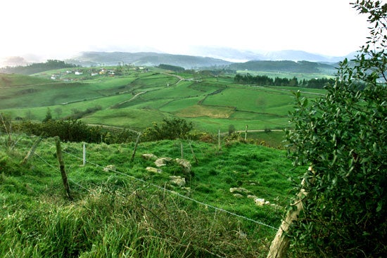 Las praderas dominan el territorio del municipio de Alfoz de Lloredo.