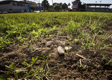 Imagen secundaria 1 - Piedras, palos y clavos en el campo de rugby de La Albericia