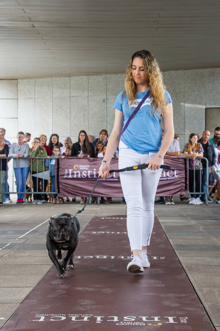 El centro comercial celebró la décima edición de este evento que premió a los perros más bonitos, simpáticos y educados